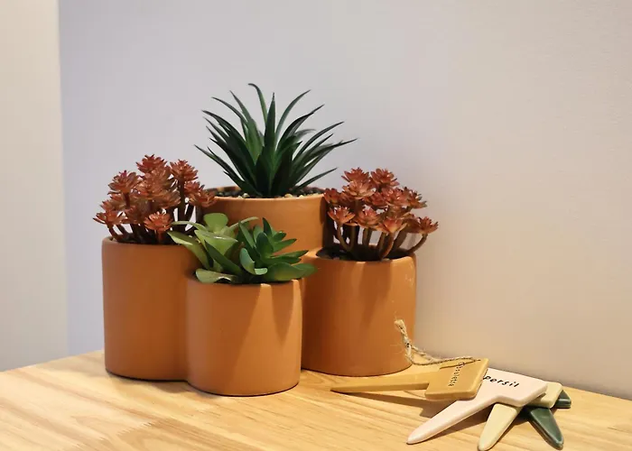 Apartment A Pineta - Piscine & Privee